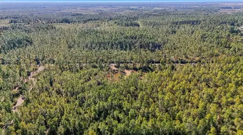 NE 212th Street Road Fort Mc Coy FL 32134