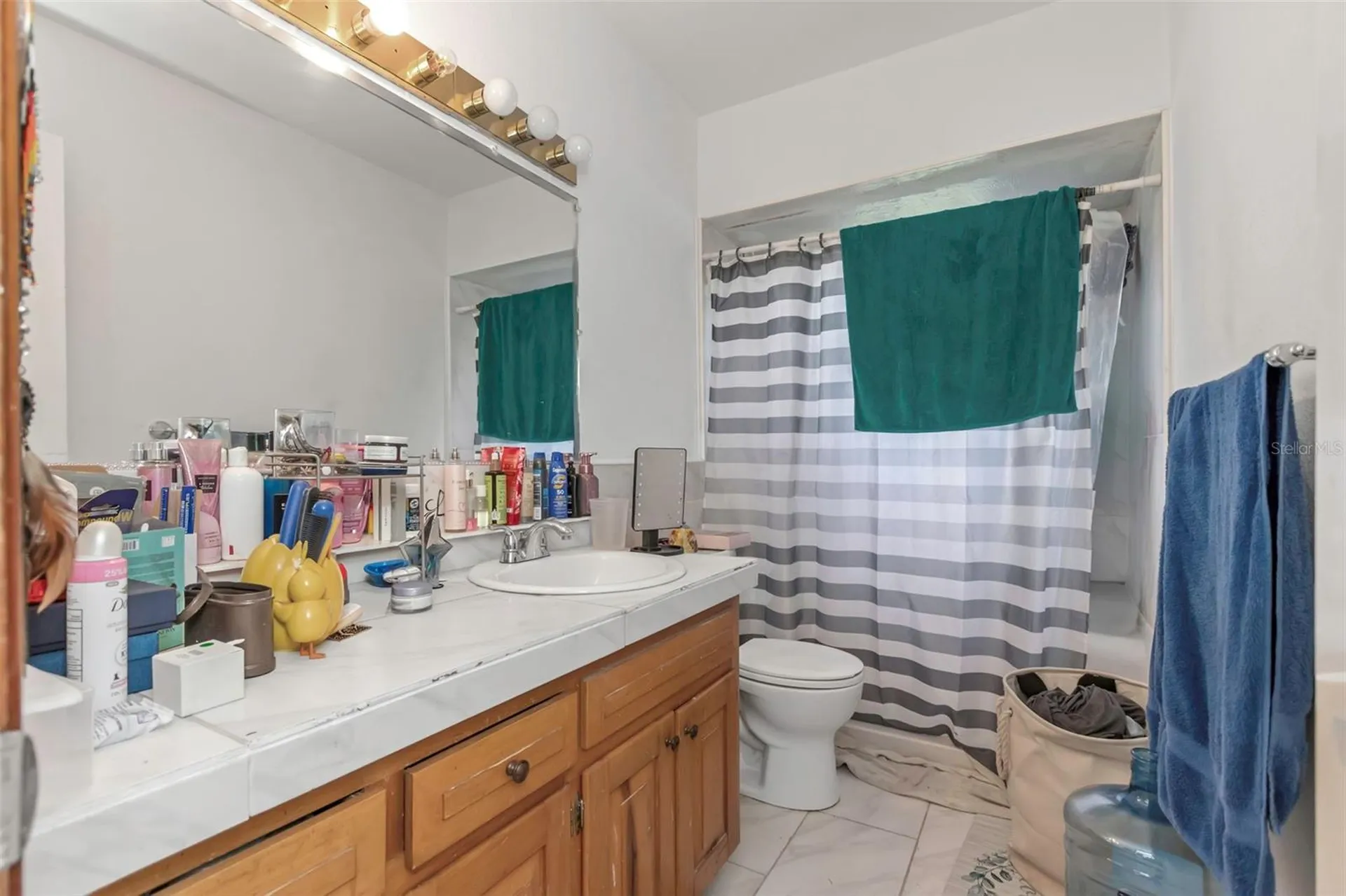 17500 Marsh Road Lutz FL 33558