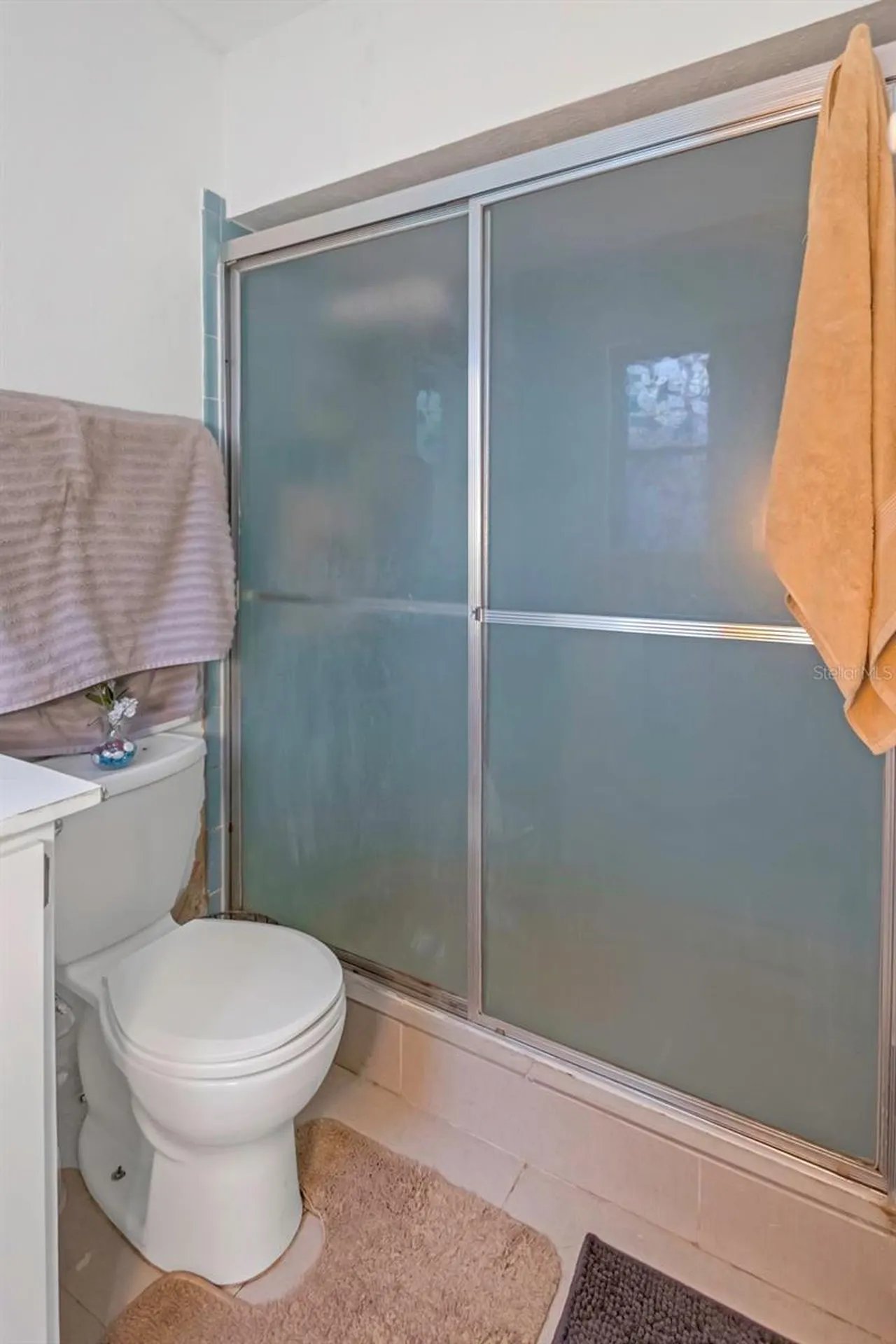 17500 Marsh Road Lutz FL 33558