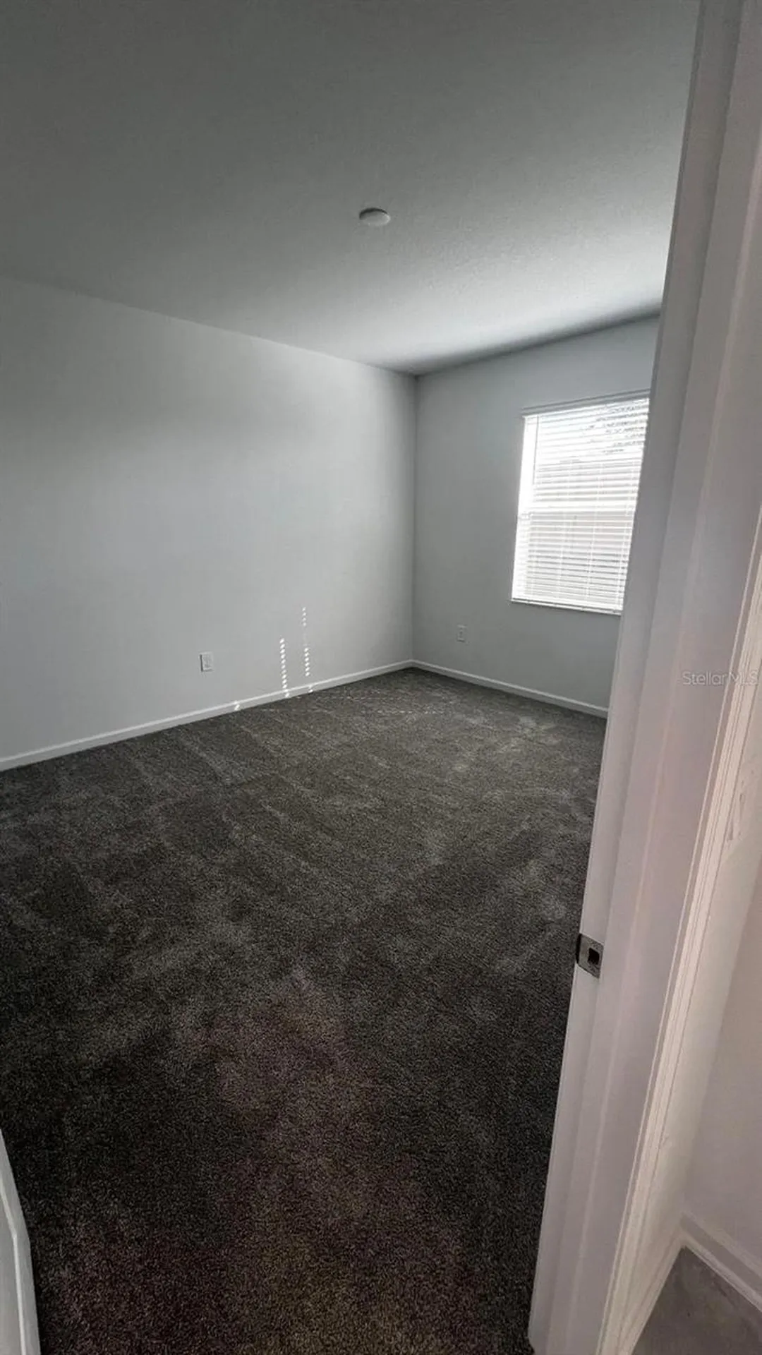 2023 Punch Bowl Avenue Davenport FL 33837
