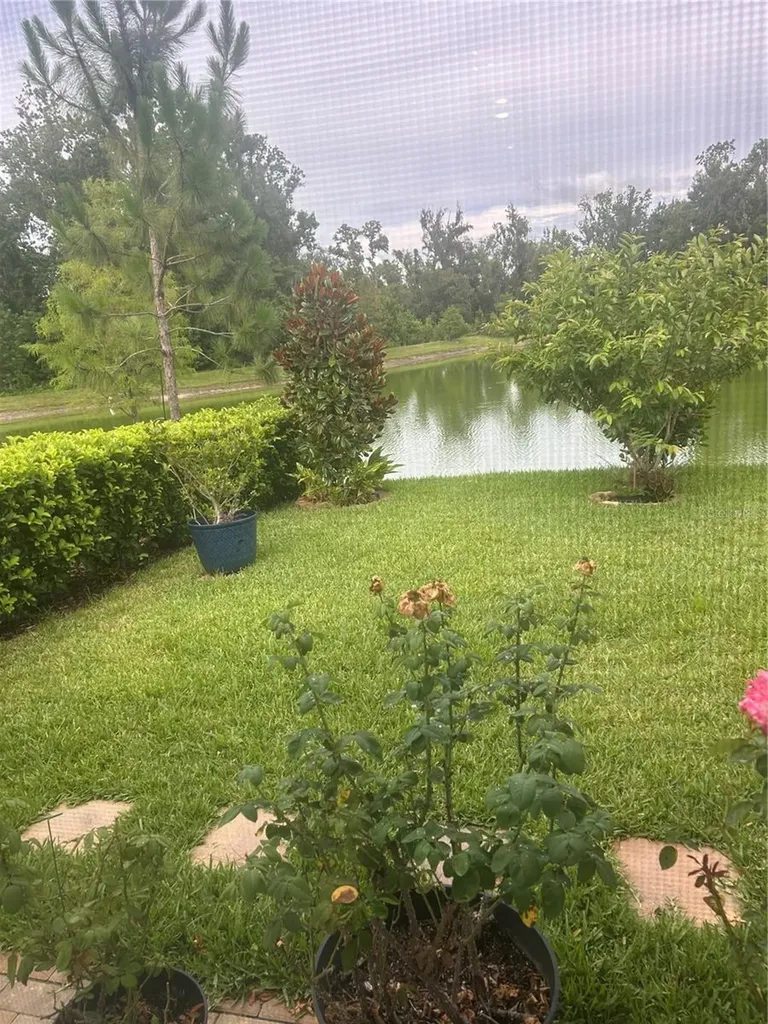 7128 Steer Blade Drive Zephyrhills FL 33541