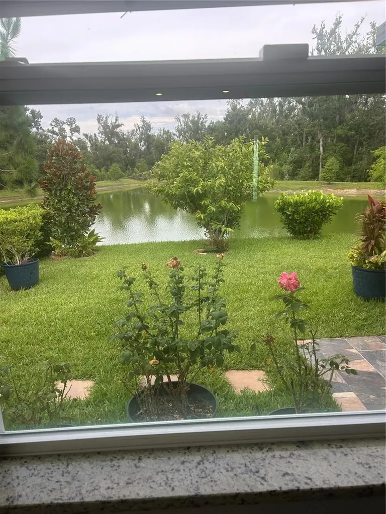 7128 Steer Blade Drive Zephyrhills FL 33541
