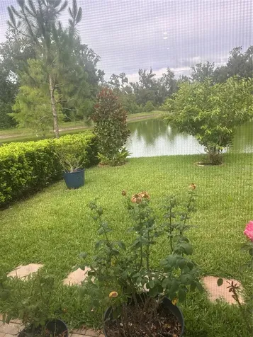 7128 Steer Blade Drive Zephyrhills FL 33541