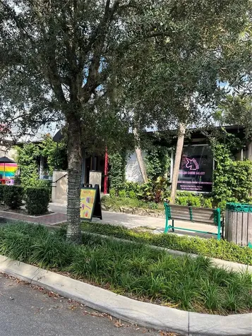 334 N Donnelly Street Mount Dora FL 32757