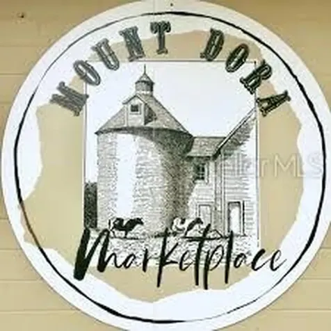 334 N Donnelly Street Mount Dora FL 32757