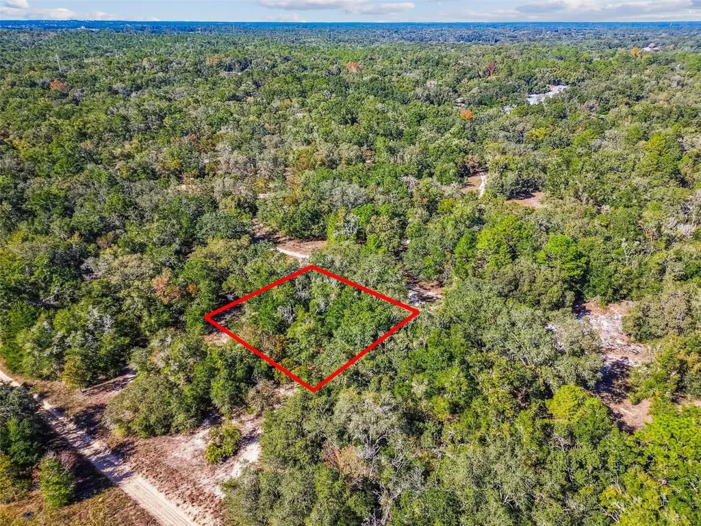 2903 Tyler Street Inverness FL 34453