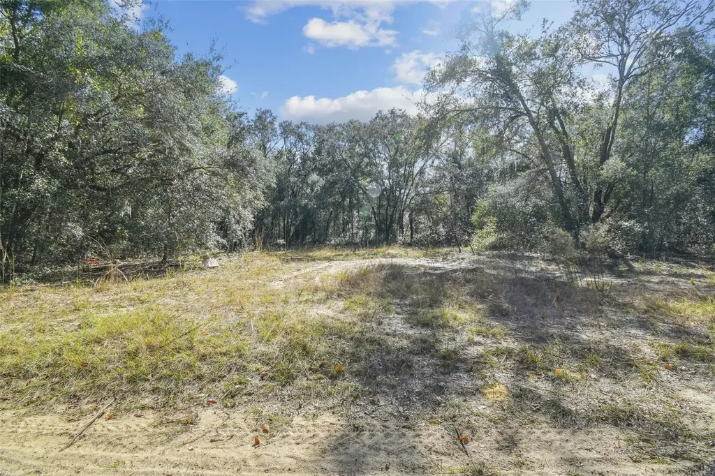 2903 Tyler Street Inverness FL 34453