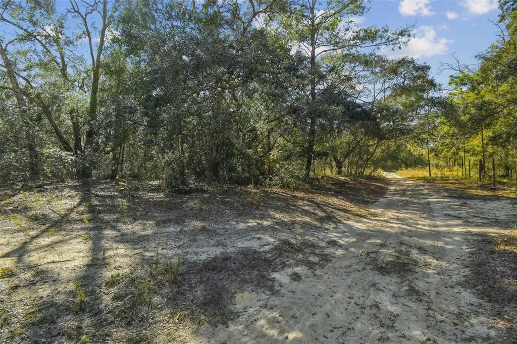 2903 Tyler Street Inverness FL 34453