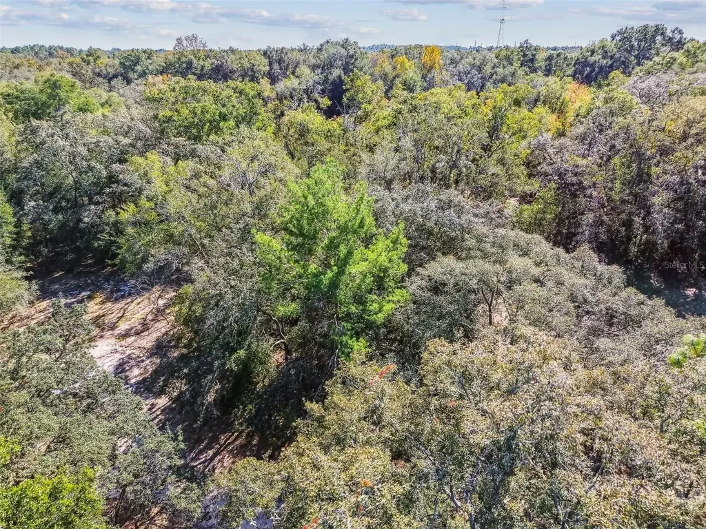 2903 Tyler Street Inverness FL 34453