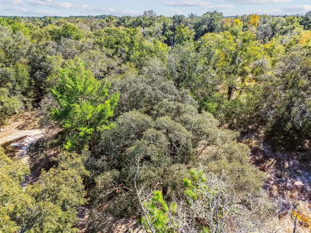 2903 Tyler Street Inverness FL 34453