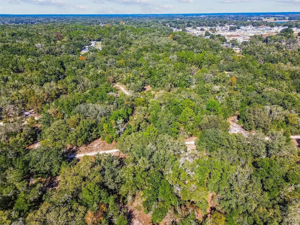 2903 Tyler Street Inverness FL 34453