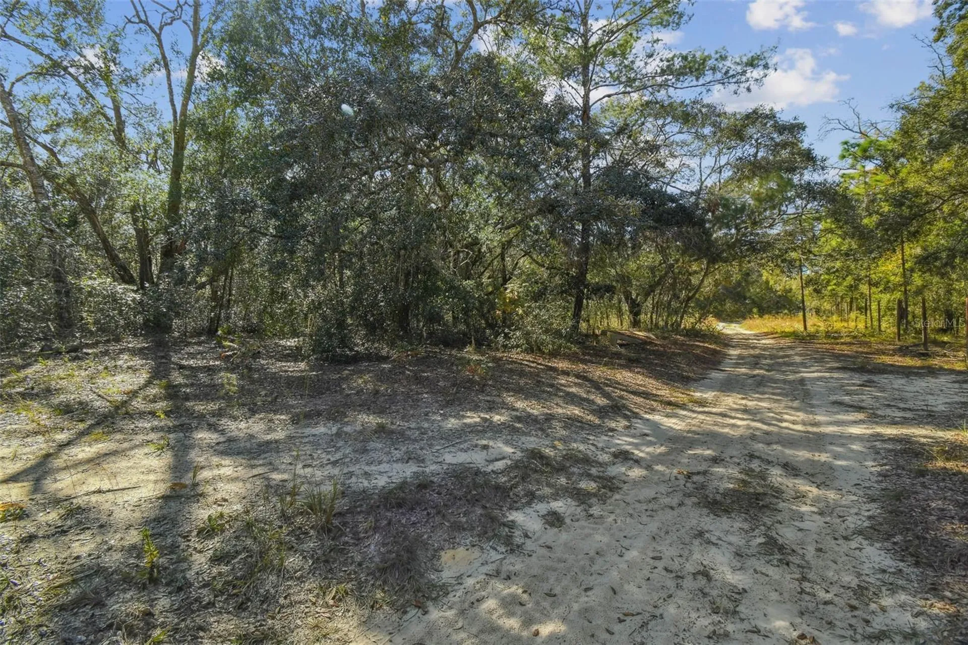 2903 Tyler Street Inverness FL 34453