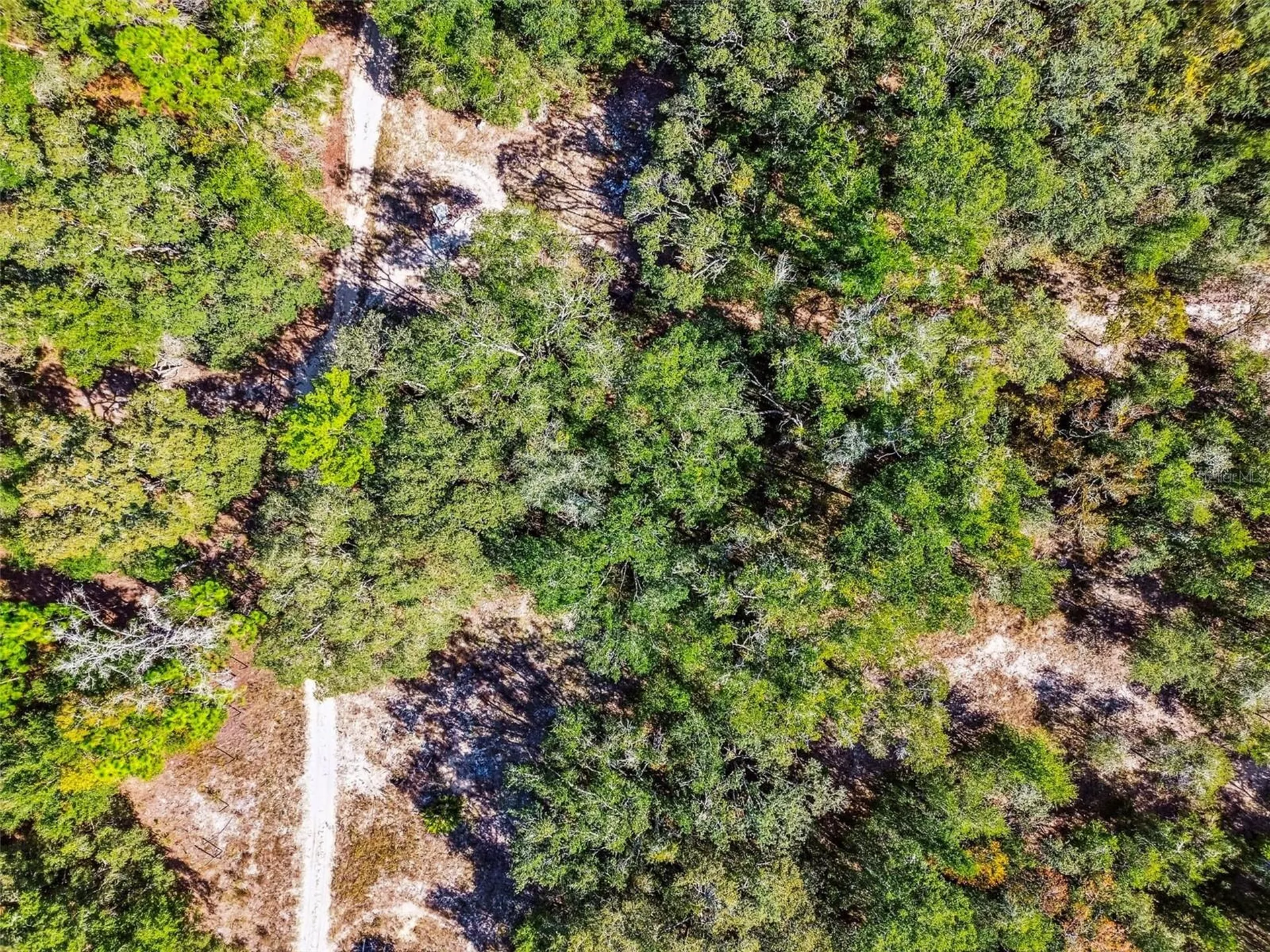 2903 Tyler Street Inverness FL 34453