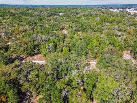 2903 Tyler Street Inverness FL 34453