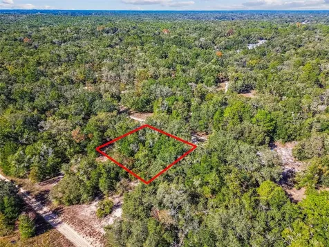 2903 Tyler Street Inverness FL 34453
