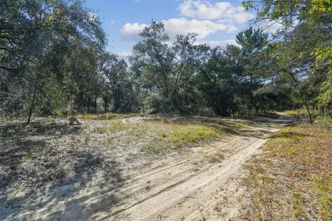 2903 Tyler Street Inverness FL 34453