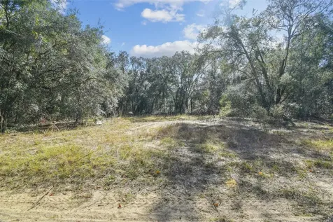 2903 Tyler Street Inverness FL 34453