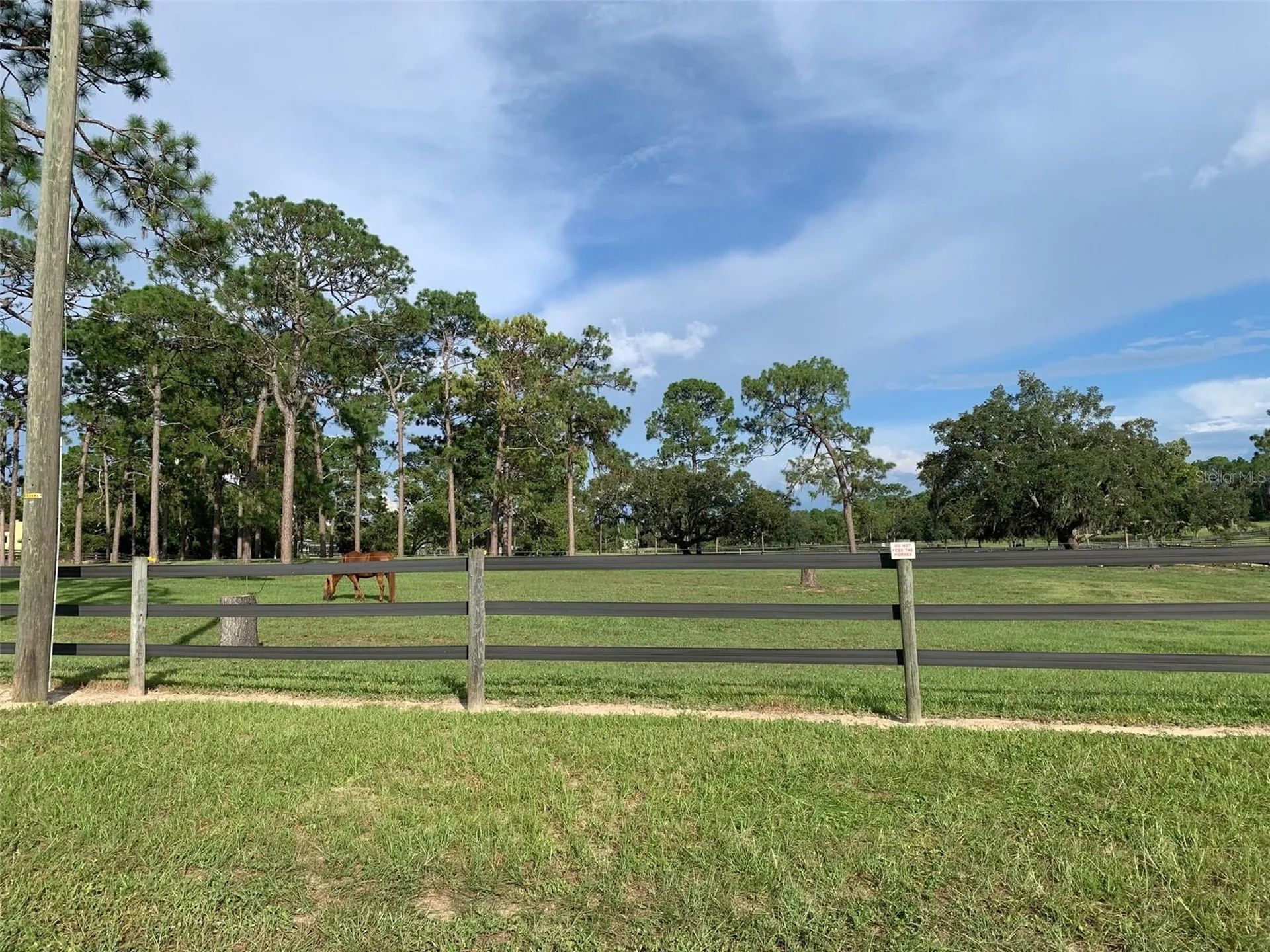 3155 W Brazilnut Road Beverly Hills FL 34465