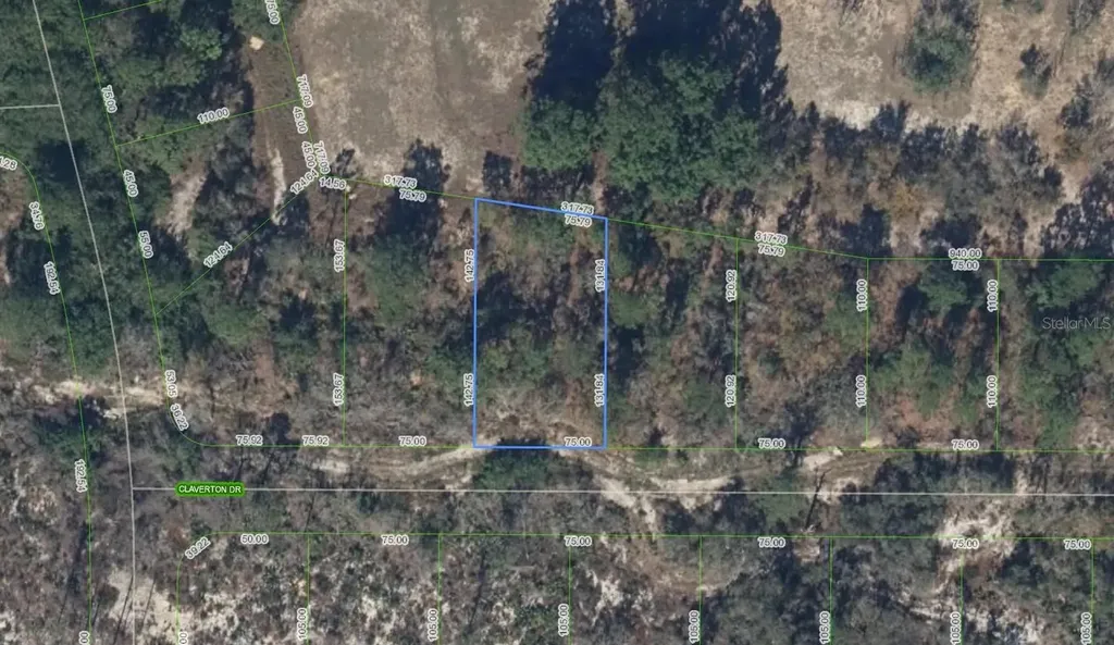 136 Claverton Drive Lake Placid FL 33852