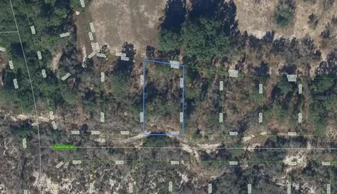 136 Claverton Drive Lake Placid FL 33852