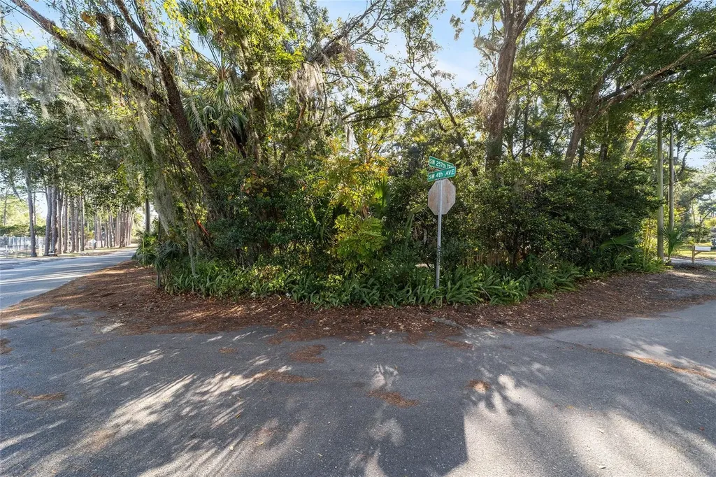 405 SW 257th Terrace Newberry FL 32669