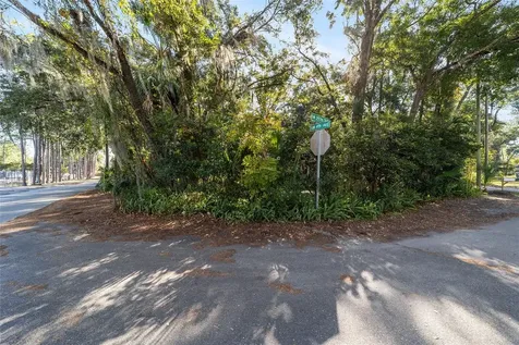 405 SW 257th Terrace Newberry FL 32669