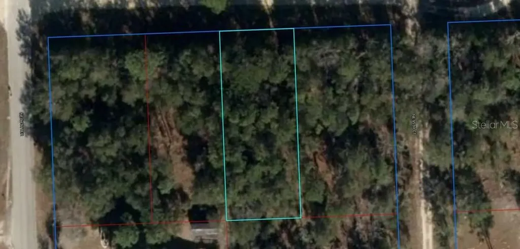 NE 67th Street Bronson FL 32621