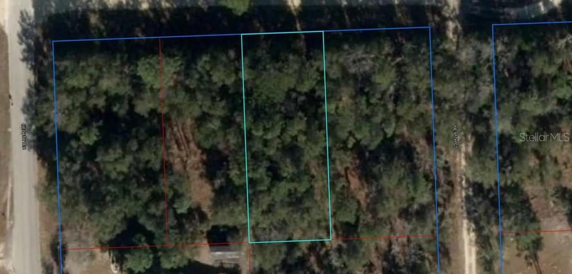 NE 67th Street Bronson FL 32621