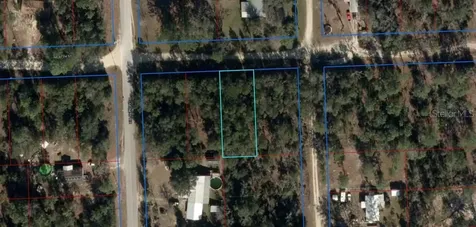 NE 67th Street Bronson FL 32621