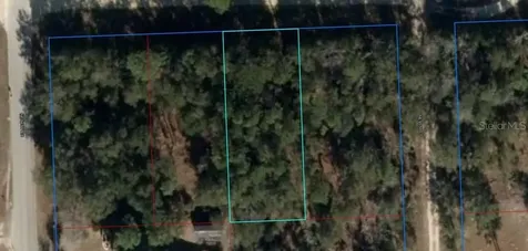 NE 67th Street Bronson FL 32621