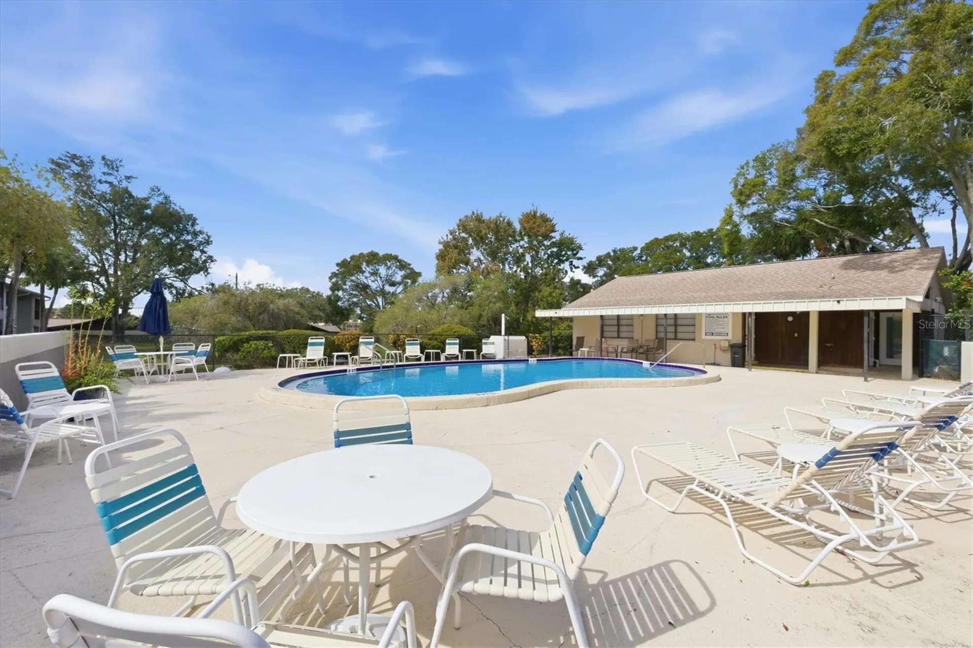 2178 Elm Street Dunedin FL 34698