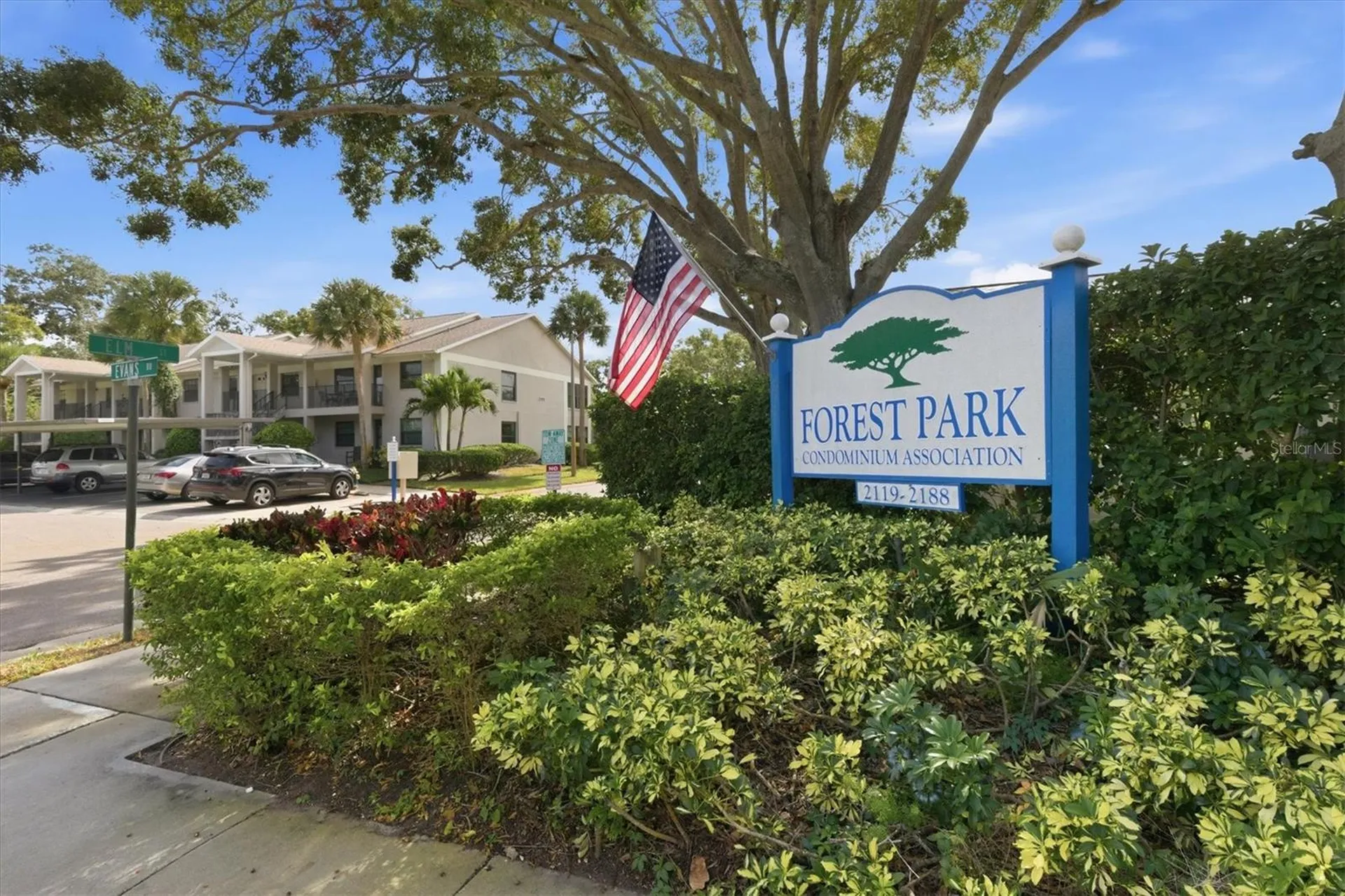 2178 Elm Street Dunedin FL 34698