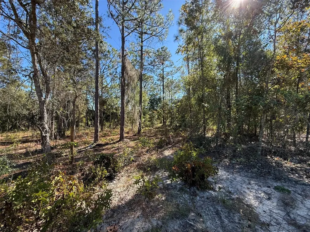 0 Monroe Avenue Lot 12-17 Hawthorne FL 32640