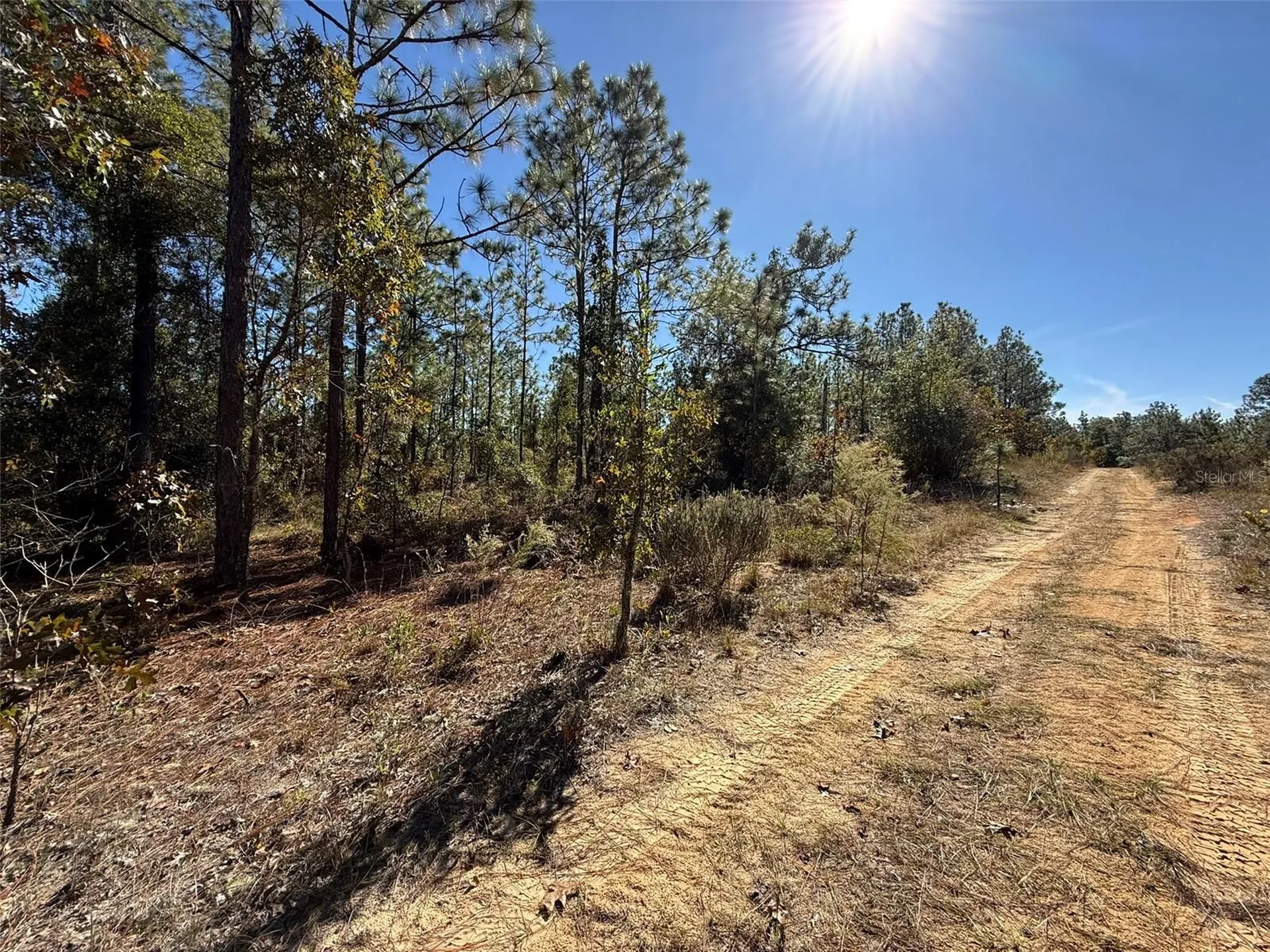 0 Monroe Avenue Lot 12-17 Hawthorne FL 32640