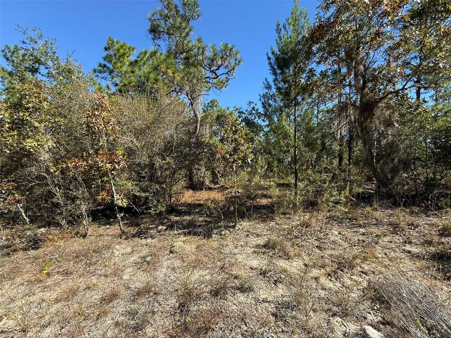 0 Monroe Avenue Lot 12-17 Hawthorne FL 32640