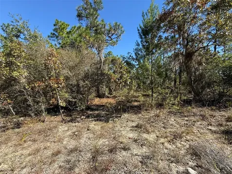 0 Monroe Avenue Lot 12-17 Hawthorne FL 32640