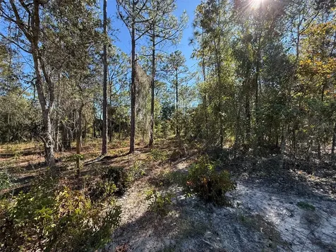 0 Monroe Avenue Lot 12-17 Hawthorne FL 32640