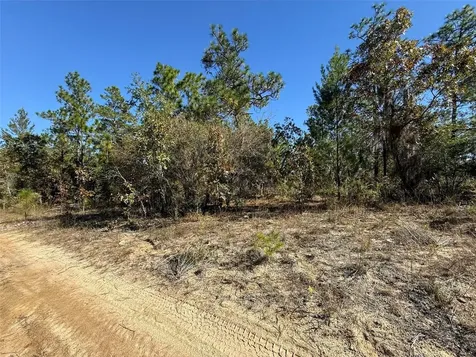 0 Monroe Avenue Lot 12-17 Hawthorne FL 32640