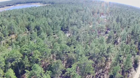 0 Monroe Avenue Lot 12-17 Hawthorne FL 32640