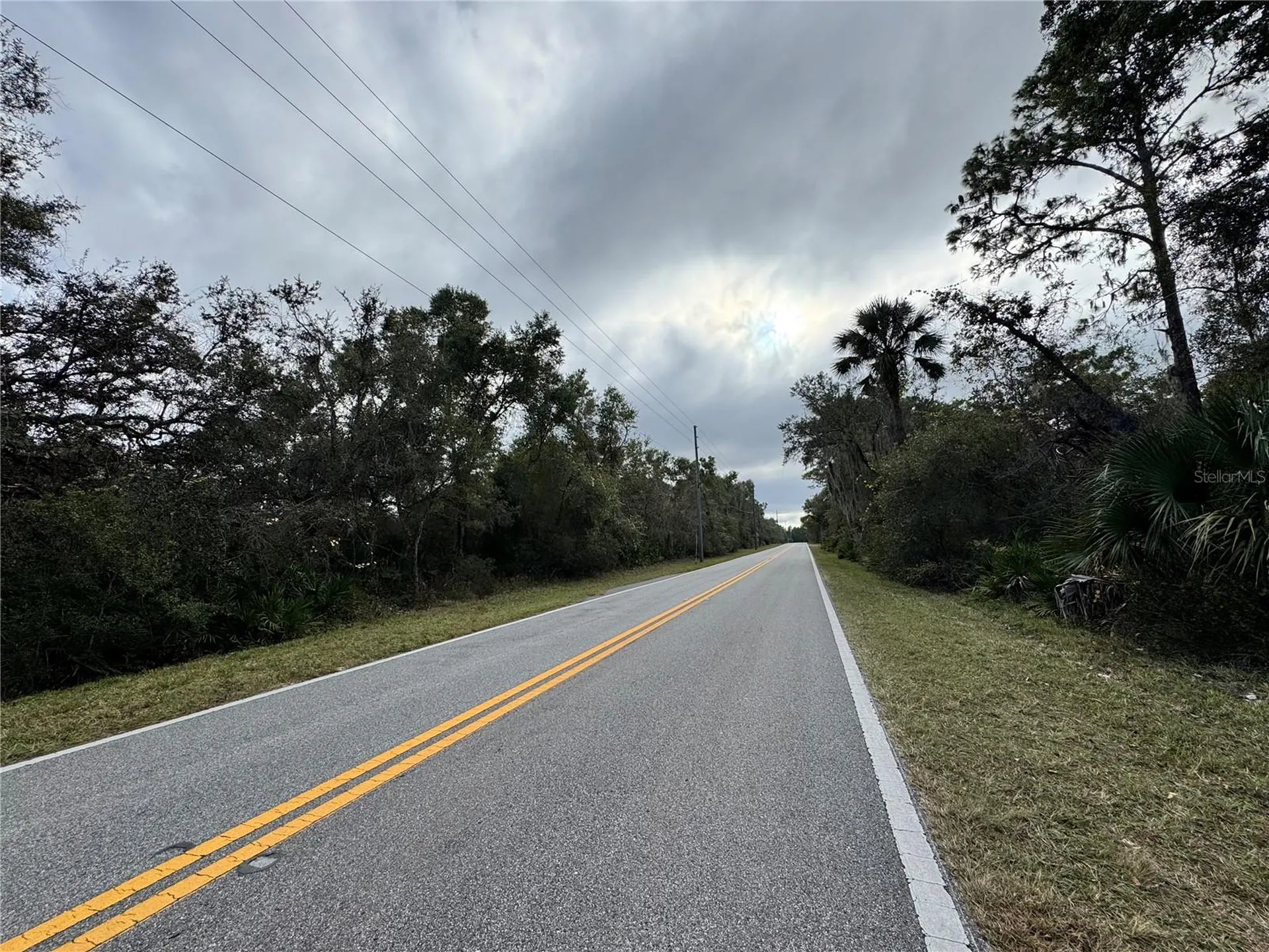 Reynolds, Lot 0420 Road De Leon Springs FL 32130