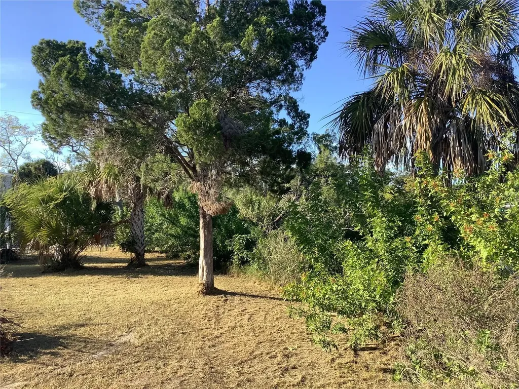 14144 Pine Street Hudson FL 34667