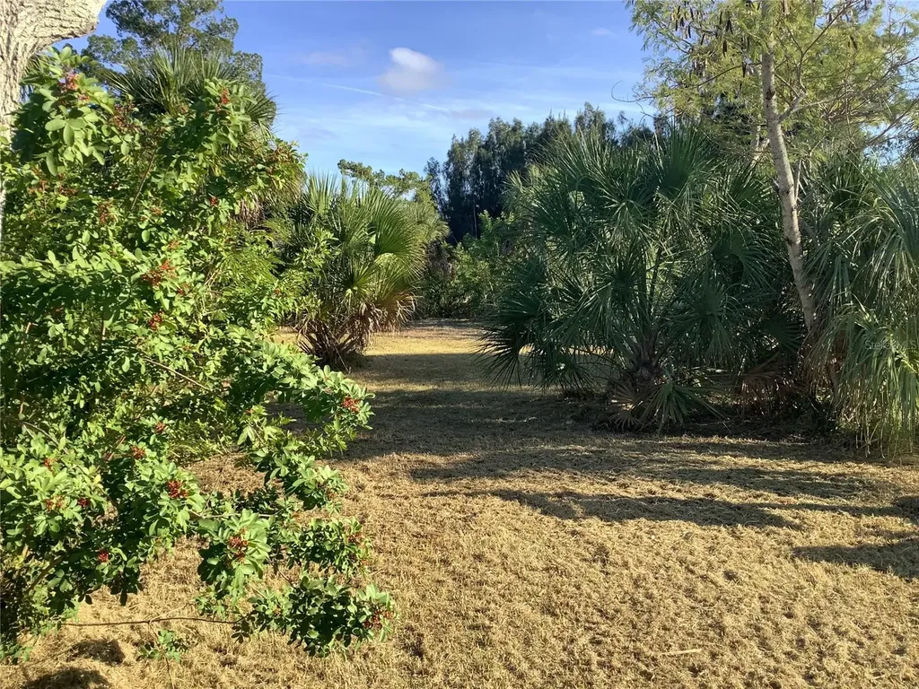14144 Pine Street Hudson FL 34667