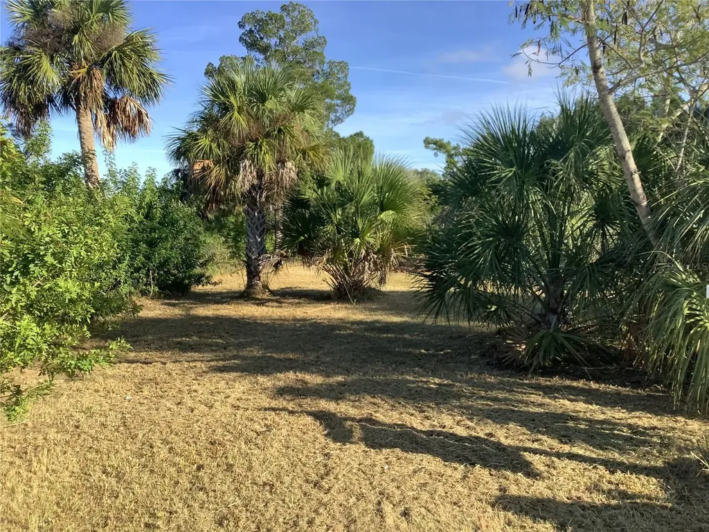 14144 Pine Street Hudson FL 34667