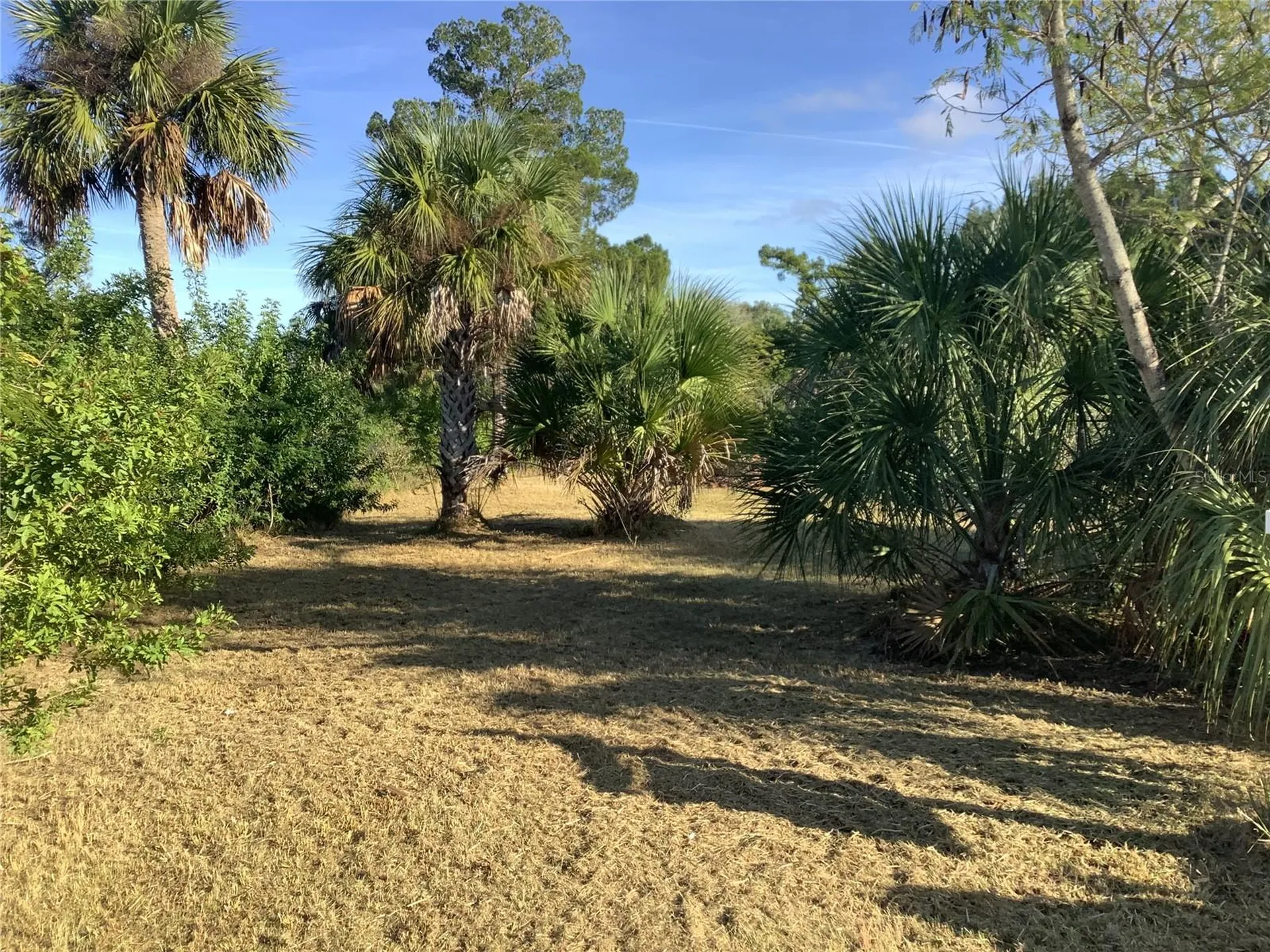 14144 Pine Street Hudson FL 34667