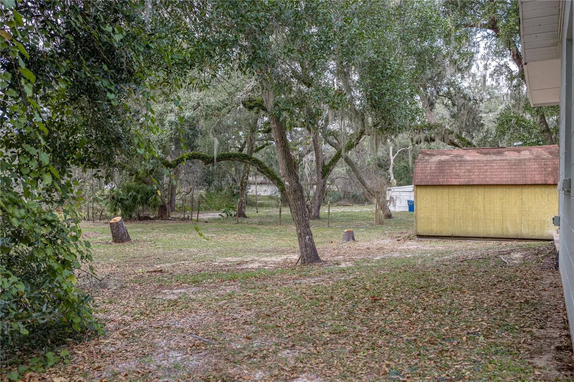 34390 Orchid Parkway Dade City FL 33523