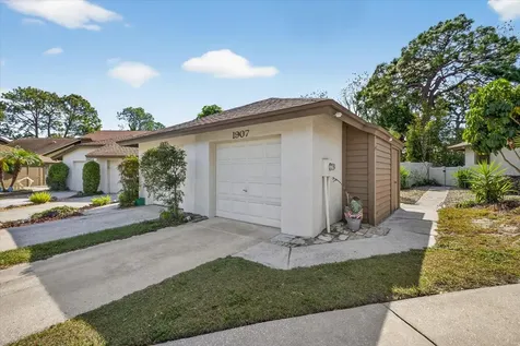 1907 Bayshore Court Safety Harbor FL 34695