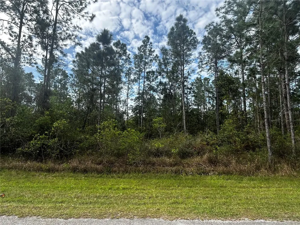 207 Gardenia Drive Lake Wales FL 33855
