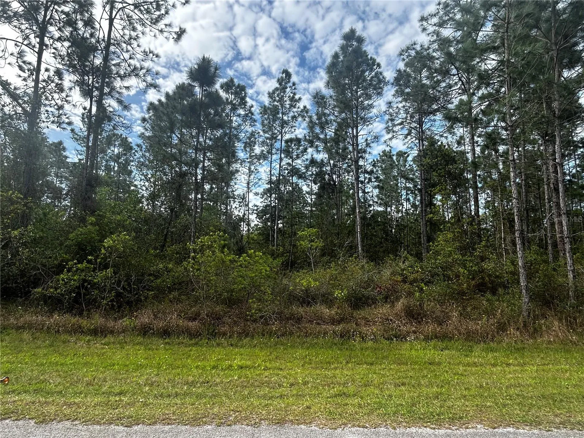 207 Gardenia Drive Lake Wales FL 33855