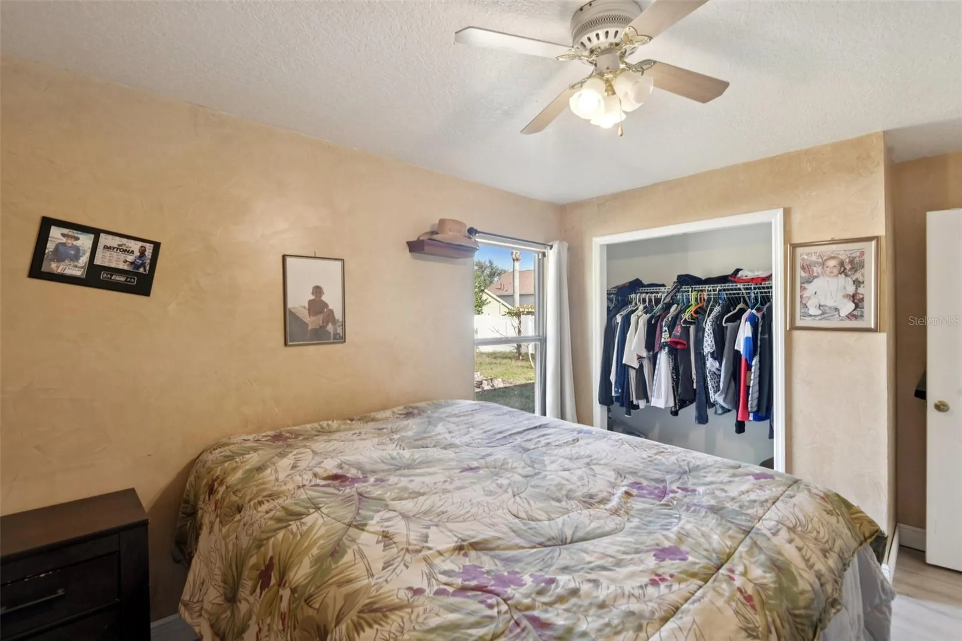24311 Branchwood Court Lutz FL 33559