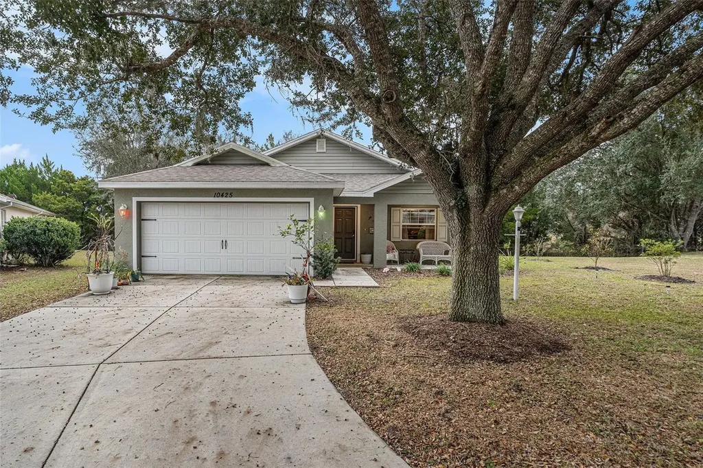 10425 S Drew Bryant Circle Floral City FL 34436